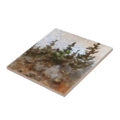 Carreau Pins sur les rochers contre un ciel doux (Côté)