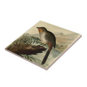 Carreau Pinson de Canon (Côté)