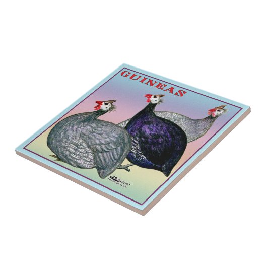 Carreau Pintades Trois Volailles (Côté)