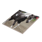 Carreau Pinto Mini Horse (Côté)