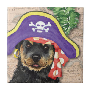Carreau Pirate de rottweiler