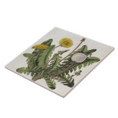 Carreau Pissenlit (gravure de couleur) (Côté)