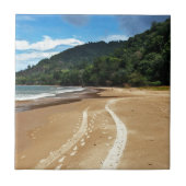 Carreau pistes de plage (Devant)