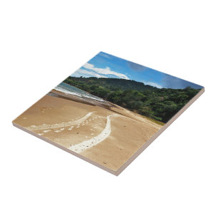 Carreau pistes de plage