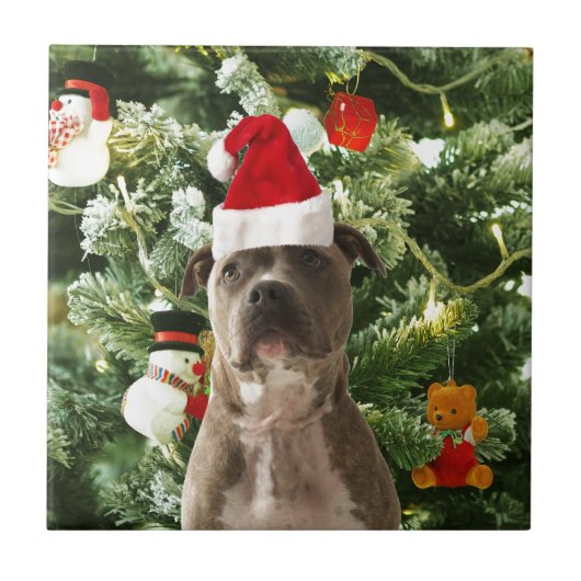 Carreau Pitbull Chien Arbre de Noël Ornements Snowman (Devant)