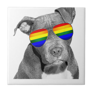 Carreau Pitbull Gay pride Chien Vêtements LGBT Drôle Rai C