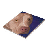 Carreau Pitbull rouge de nez avec un arrière - plan bleu (Côté)