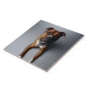 Carreau Pitbull Terrier se couchant (Côté)