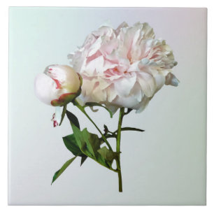 Carreau Pivoine rose pâle et bourgeon