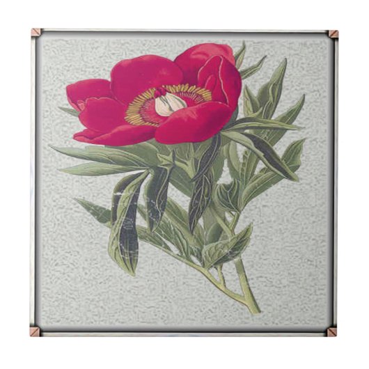 Carreau Pivoine rouge (Devant)