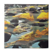 CARREAU PLAGE (Devant)