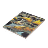 CARREAU PLAGE (Côté)