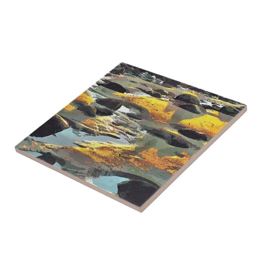 CARREAU PLAGE (Côté)