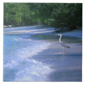 Carreau Plage 2 (Devant)