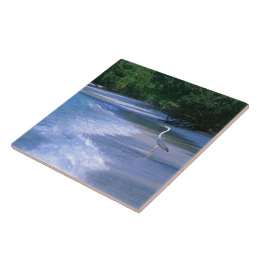 Carreau Plage 2 (Côté)