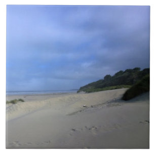 Carreau Plage à Yaquina Bay, Newport, OU