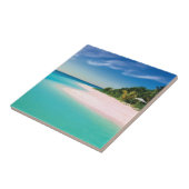 Carreau Plage Agréable (Côté)