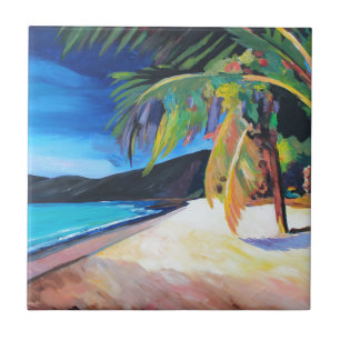 Carreau Plage aux Îles Vierges américaines de St Thomas 