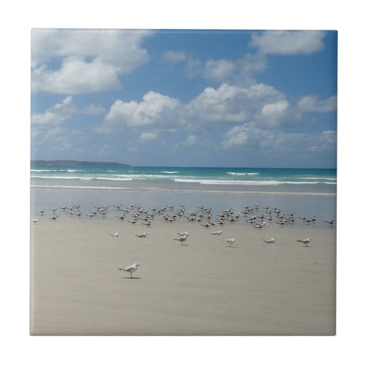 Carreau Plage avec mouettes (Devant)