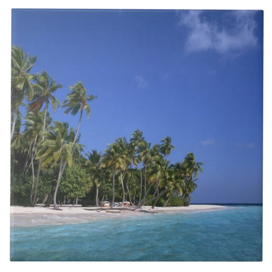 Carreau Plage avec palmiers, Maldives (Devant)