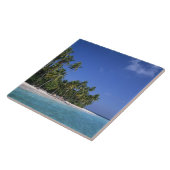 Carreau Plage avec palmiers, Maldives (Côté)
