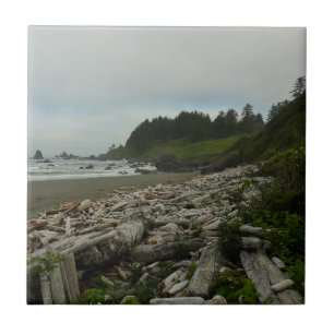 Carreau Plage cachée I du parc national de Redwood