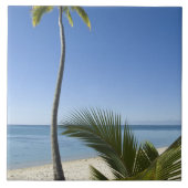 Carreau Plage d'Aitutaki, îles Cook (Devant)