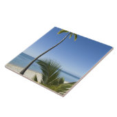 Carreau Plage d'Aitutaki, îles Cook (Côté)