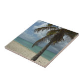 Carreau Plage d'Aruba I Belle Scène Nature (Côté)