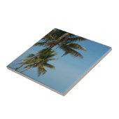 Carreau Plage de palmiers et de sable blanc (Côté)