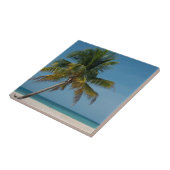 Carreau Plage de palmiers et de sable blanc 2 (Côté)