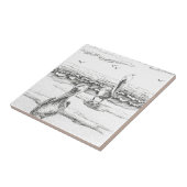 Carreau Plage de Pelican Woorim, Australie, Queensland (Côté)