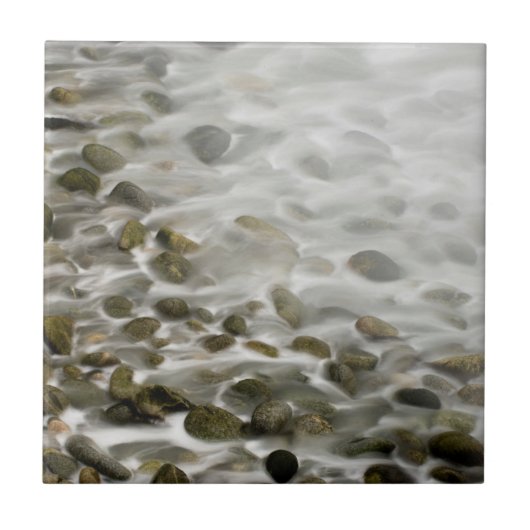 Carreau Plage de pierre | Point Lobos State Reserve, CA (Devant)