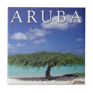 Carreau Plage Eagle Caraïbes, Aruba