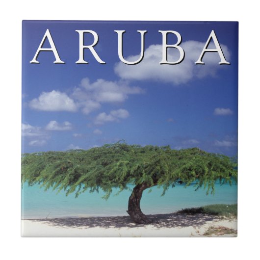 Carreau Plage Eagle | Caraïbes, Aruba (Devant)