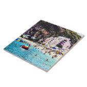 Carreau Plage Philipsburg Sint Maarten (Côté)