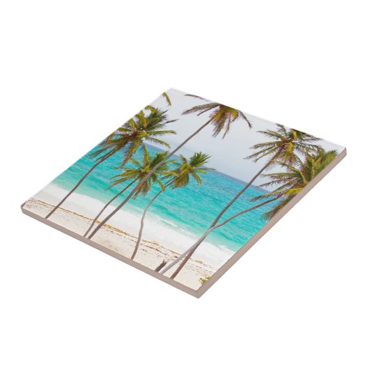 Carreau Plage tropicale avec le palmier (Côté)