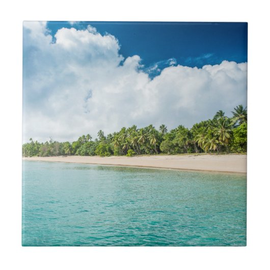 Carreau Plage tropicale bordée de palmiers (Devant)