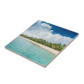 Carreau Plage tropicale bordée de palmiers (Côté)