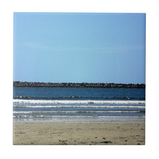 Carreau Plage Uruguay de Paloma de La (Devant)