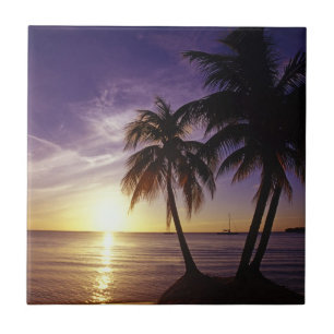 Carreau Plages de Negril en Jamaïque