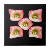 Carreau Plaisir Floral (Devant)