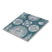 Carreau Plan directeur de la vie marine IV (Côté)