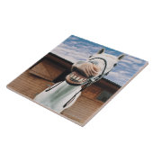 Carreau Plan rapproché de cheval avec la bouche ouverte (Côté)