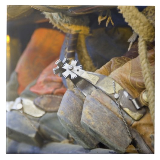 Carreau Plan rapproché des bottes et des dents 2 (Devant)