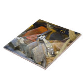 Carreau Plan rapproché des bottes et des dents 2 (Côté)