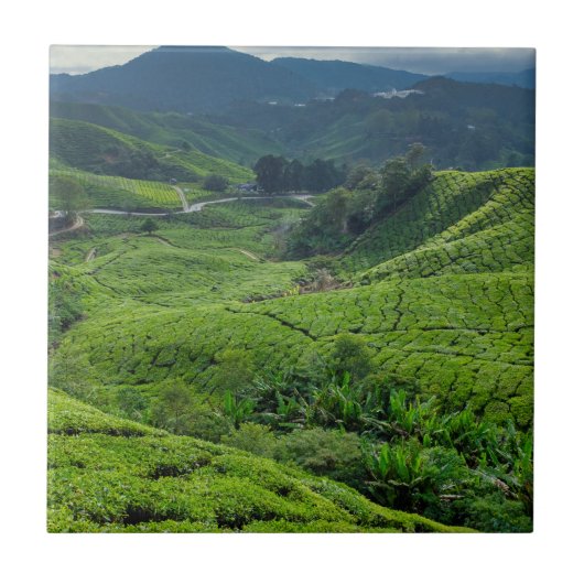 Carreau Plantation de thé de Cameron Highlands (Devant)
