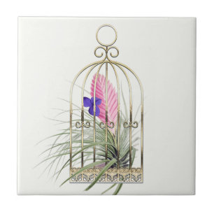 Carreau Plante aérienne Tillandsia dans une cage à oiseaux