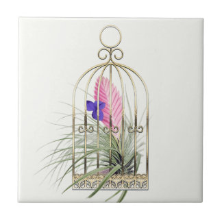 Carreau Plante aérienne Tillandsia dans une cage à oiseaux