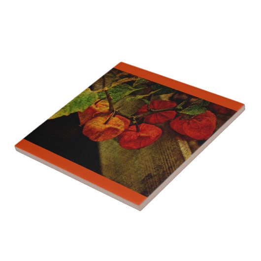 Carreau Plante Chinois À Fruit (Côté)